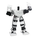 19自由度人形机器人RoboSoul舞蹈比赛可编程带MP3