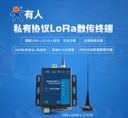 lora dtu数传终端电台4500米无线模块RS232/485通讯有人LG206-L-C